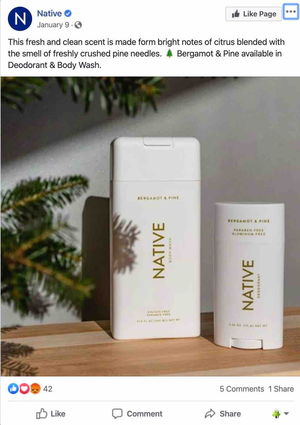 Facebook-Werbung für Native Deodorant mit großem Bild der Deo-Tube