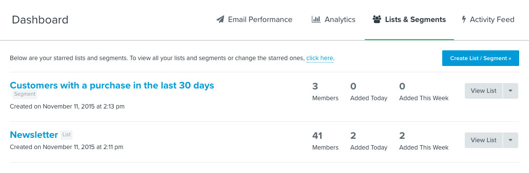 The lists & segments tab in the dashboard