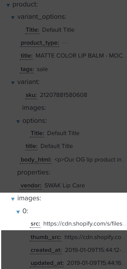 Example of what the data source looks like for an image