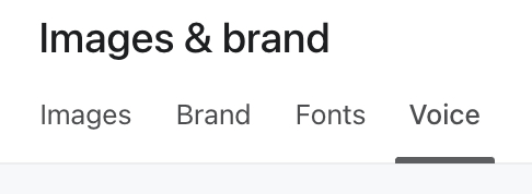 The Voice tab selected in the menu bar of the Images and brand page in Klaviyo.