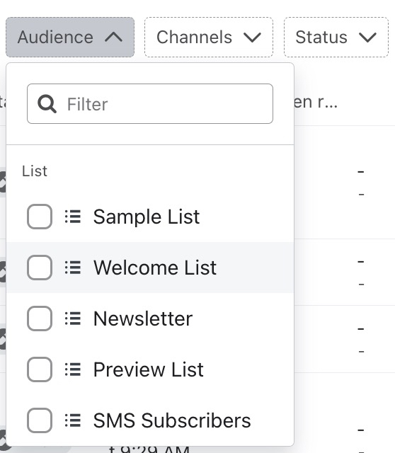 Audience filter dropdown showing example list options in an account