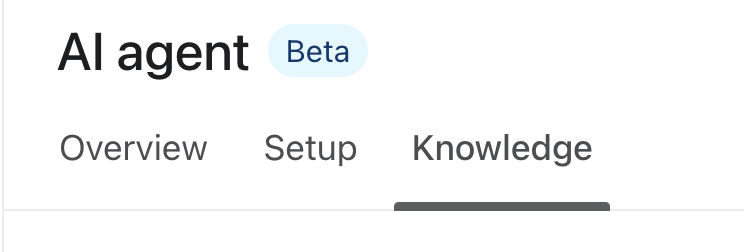 AI agent Beta navigation bar with Overview, Setup, and Knowledge tabs, Knowledge tab selected. width=