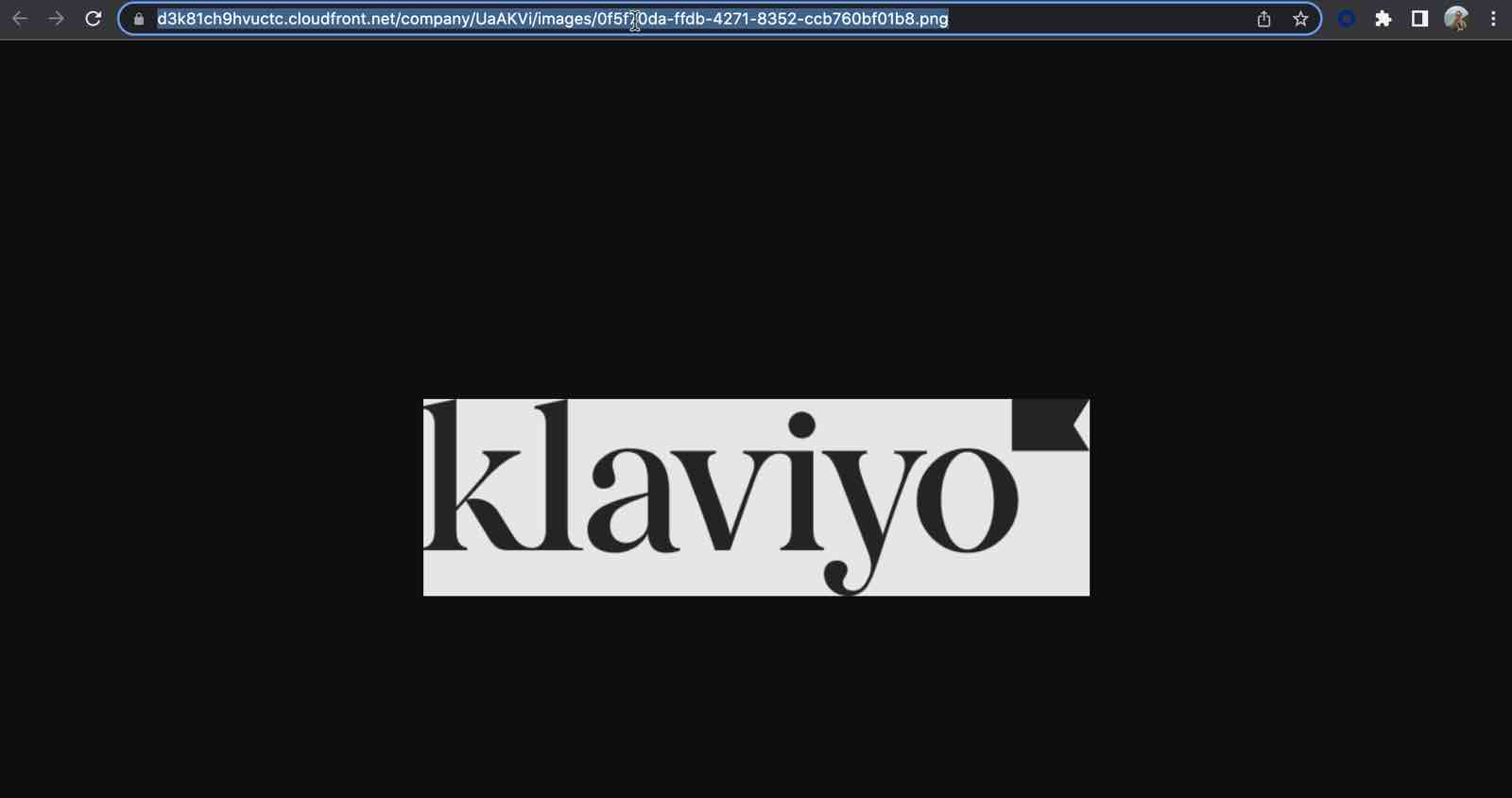 De URL van een afbeelding wordt gemarkeerd