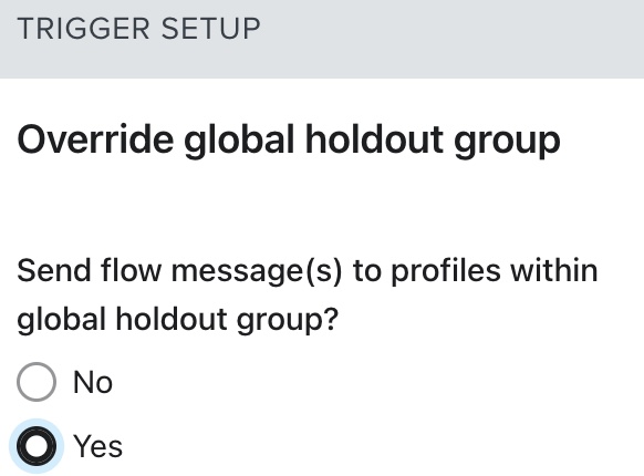 trigger setup bevestigen.jpg