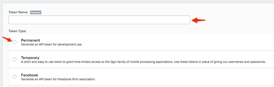 Token uppställd i Qgiv med röda pilar som pekar på token namnbox och permanent alternativ