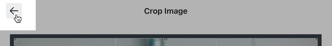 The back arror from the image crop options menu